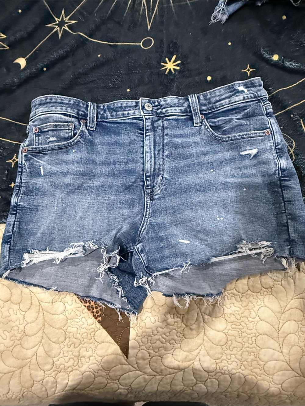 American Eagle shorts size 14